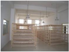 rattan diffuser sticks