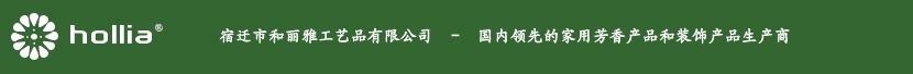 和丽雅工艺品